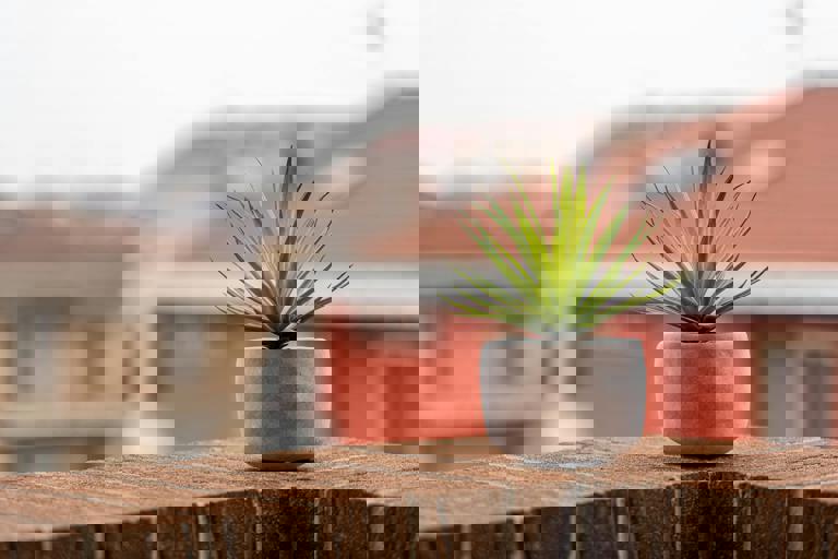 Micro-Apartment Living: Downsizing Becomes a Big Deal Among Young Professionals